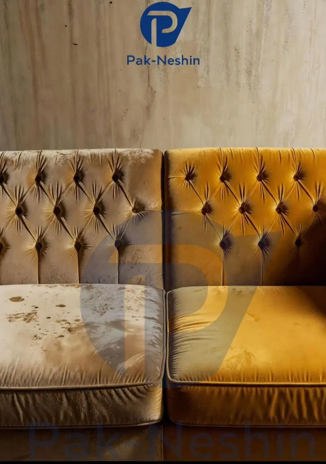 قالی شویی و مبل شویی«پاک نشین»|خدمات نظافت|قزوین, |دیوار