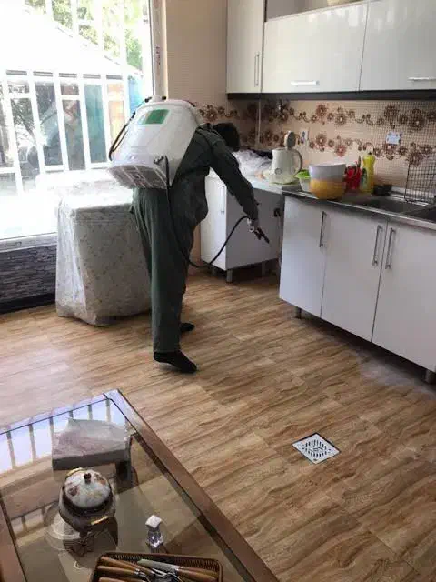 سم پاشی موریانه زدایی  دائم سمپاشی سوسک و ساس موش|خدمات نظافت|آبادان, |دیوار