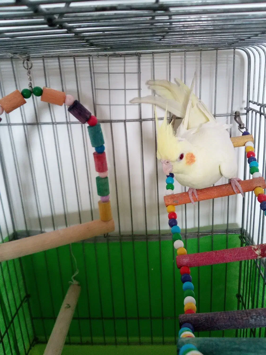 لوازممنزل عروسنر|حراج|قزوین, |دیوار