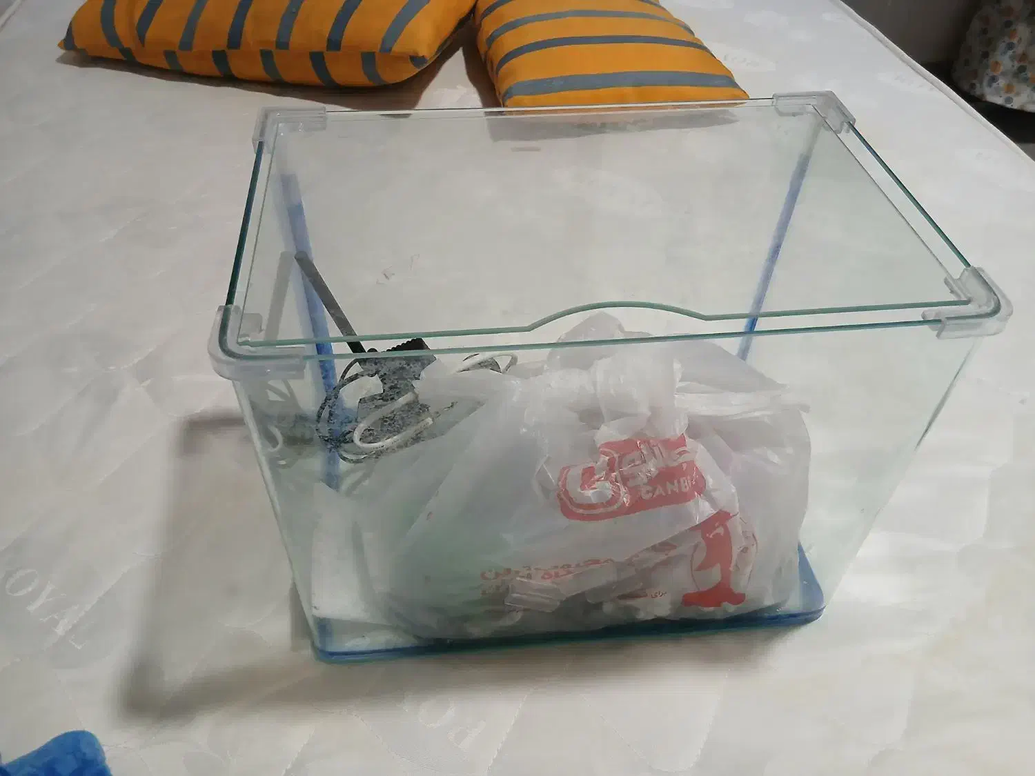 معاوضه|ماهی|دزفول, |دیوار