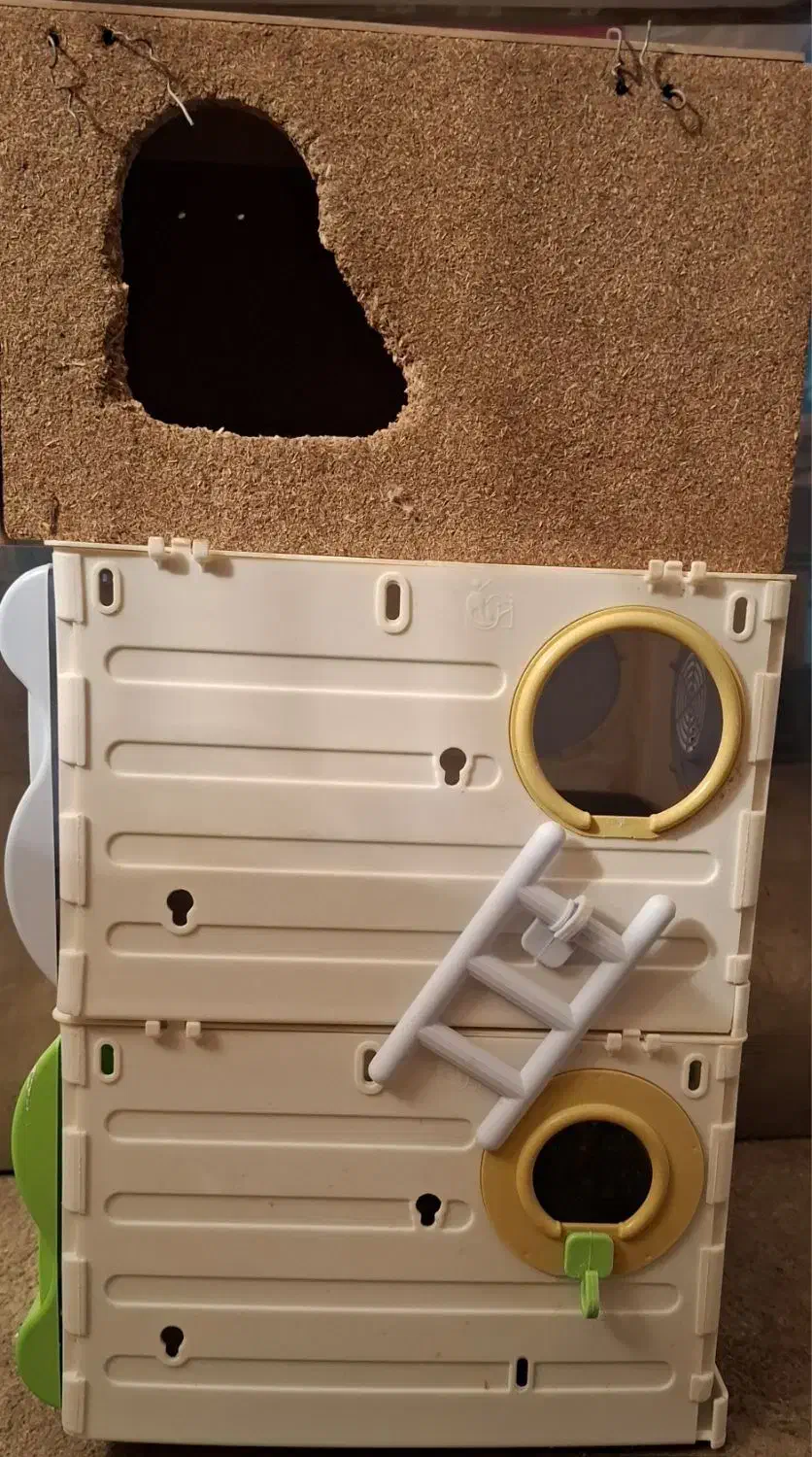 ۳ عدد لانه پرنده|لوازم جانبی حیوانات|همدان, |دیوار