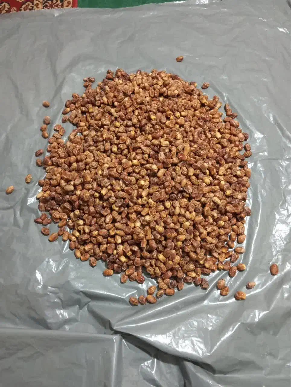 خرما زاهدی اِمسالی.تازه. تازه.|خوردنی و آشامیدنی|مشهد, رسالت|دیوار