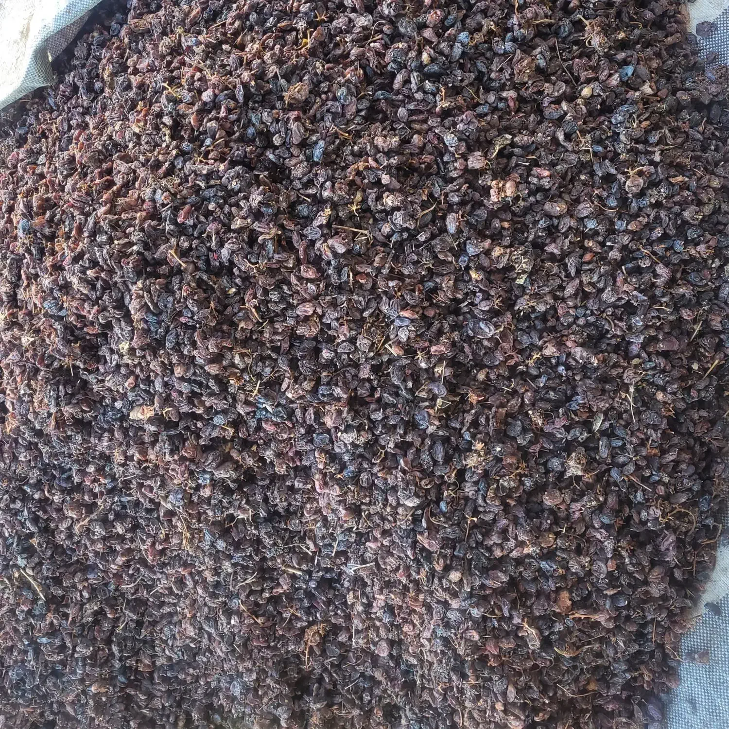 کشمش آب میوه گیری|خوردنی و آشامیدنی|ساوه, |دیوار