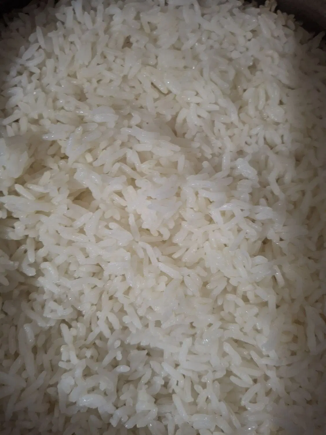 برنج محلی|خوردنی و آشامیدنی|تهران, هروی|دیوار