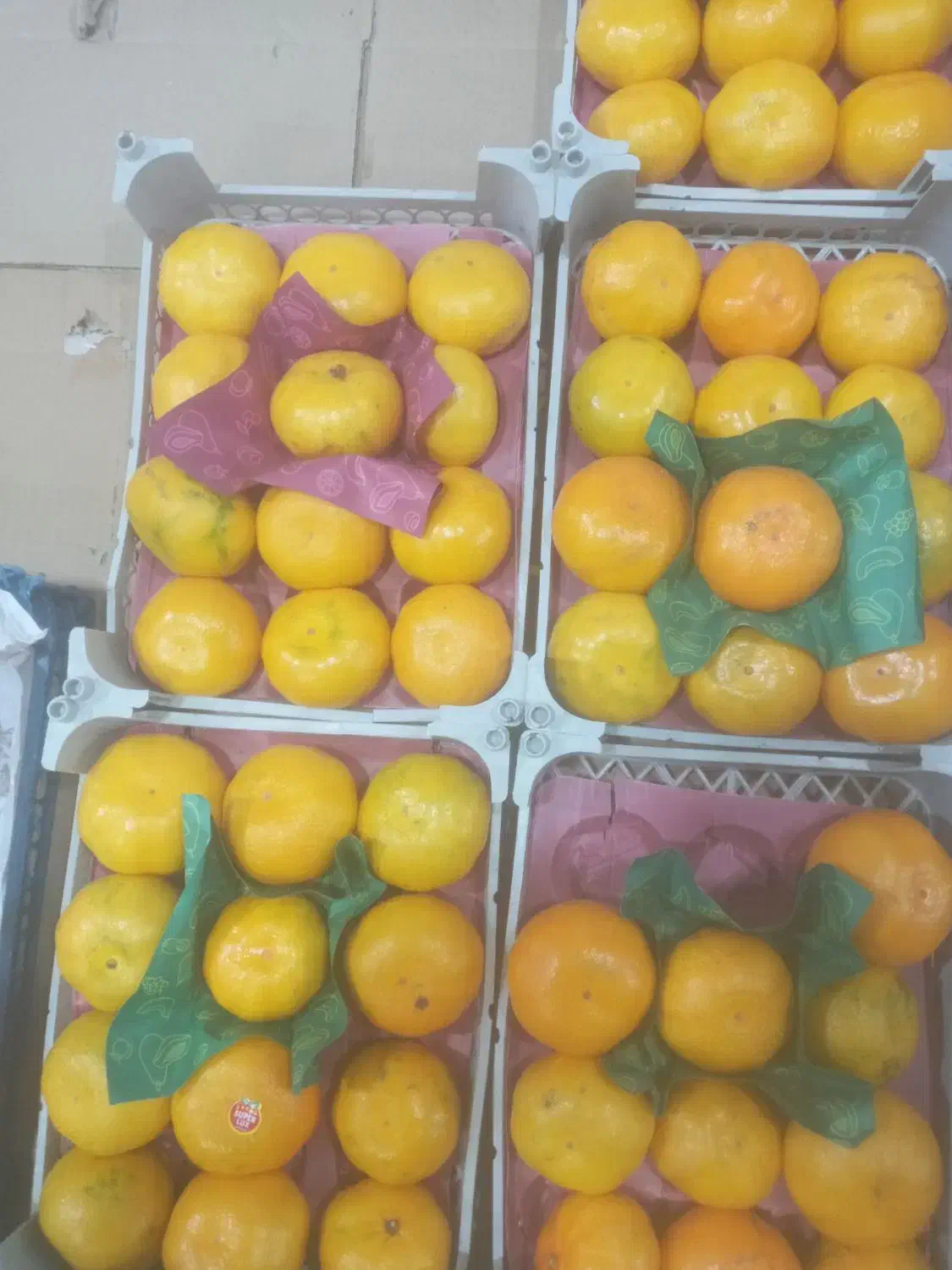 نارنگی|خوردنی و آشامیدنی|قیدار, |دیوار