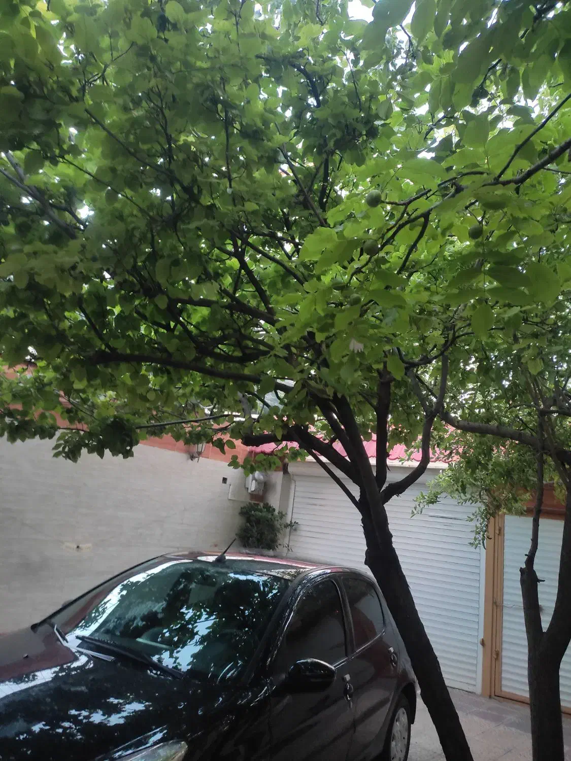 ویلایی|فروش خانه و ویلا|مشهد, هفت تیر (نه دره)|دیوار