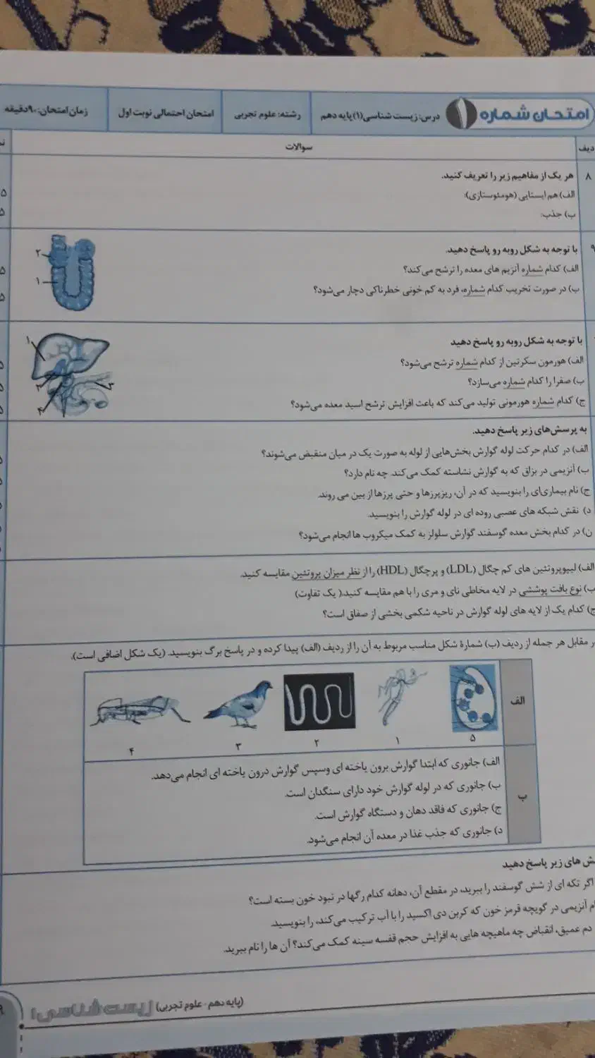 کتاب کار زیست دهم(سیگنال۲۰)|کتاب و مجله آموزشی|سبزوار, امیر کبیر|دیوار