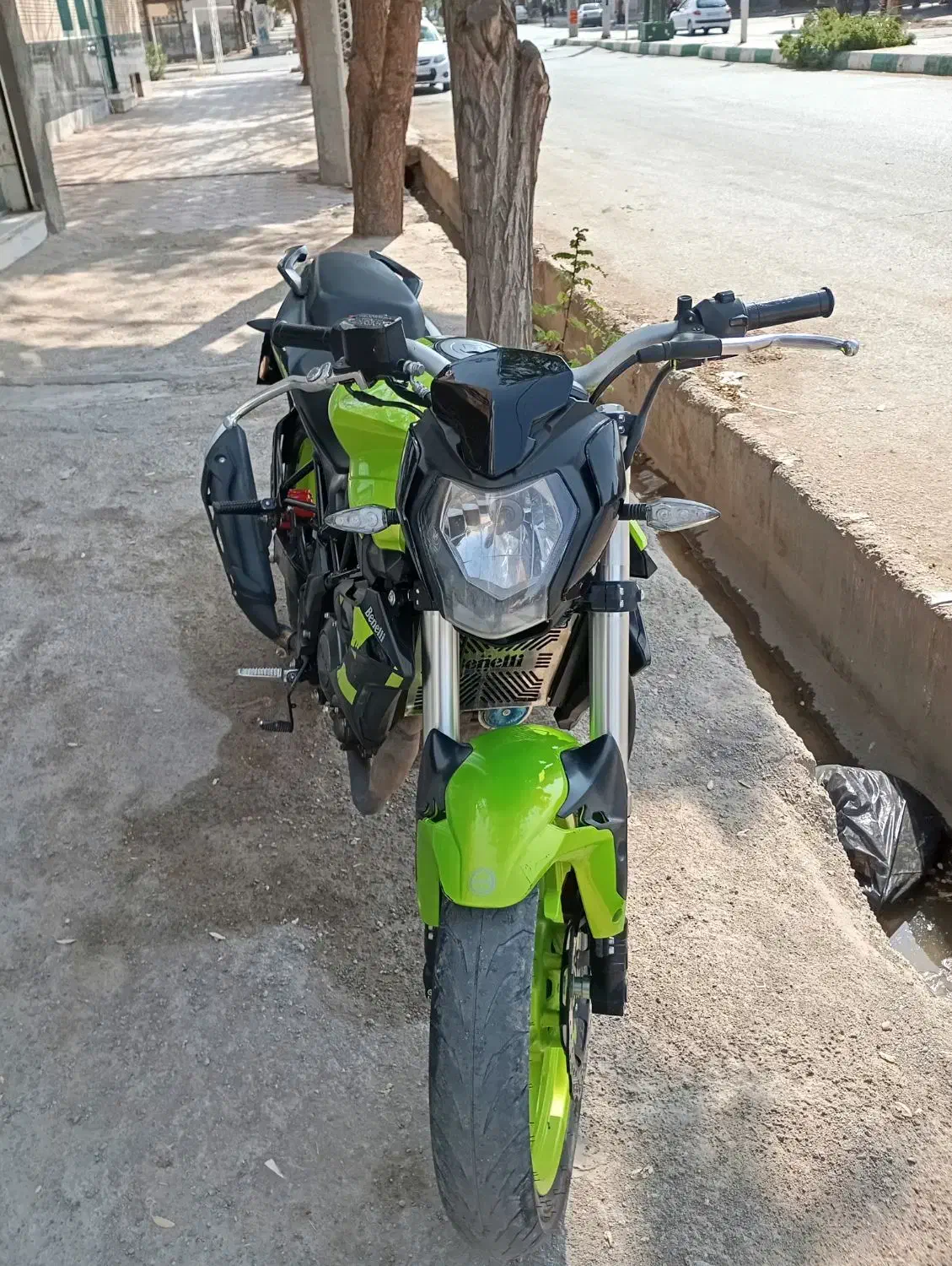 بنلی 250 تک سلیندرمدل 1402|موتورسیکلت|تربت جام, شاد|دیوار