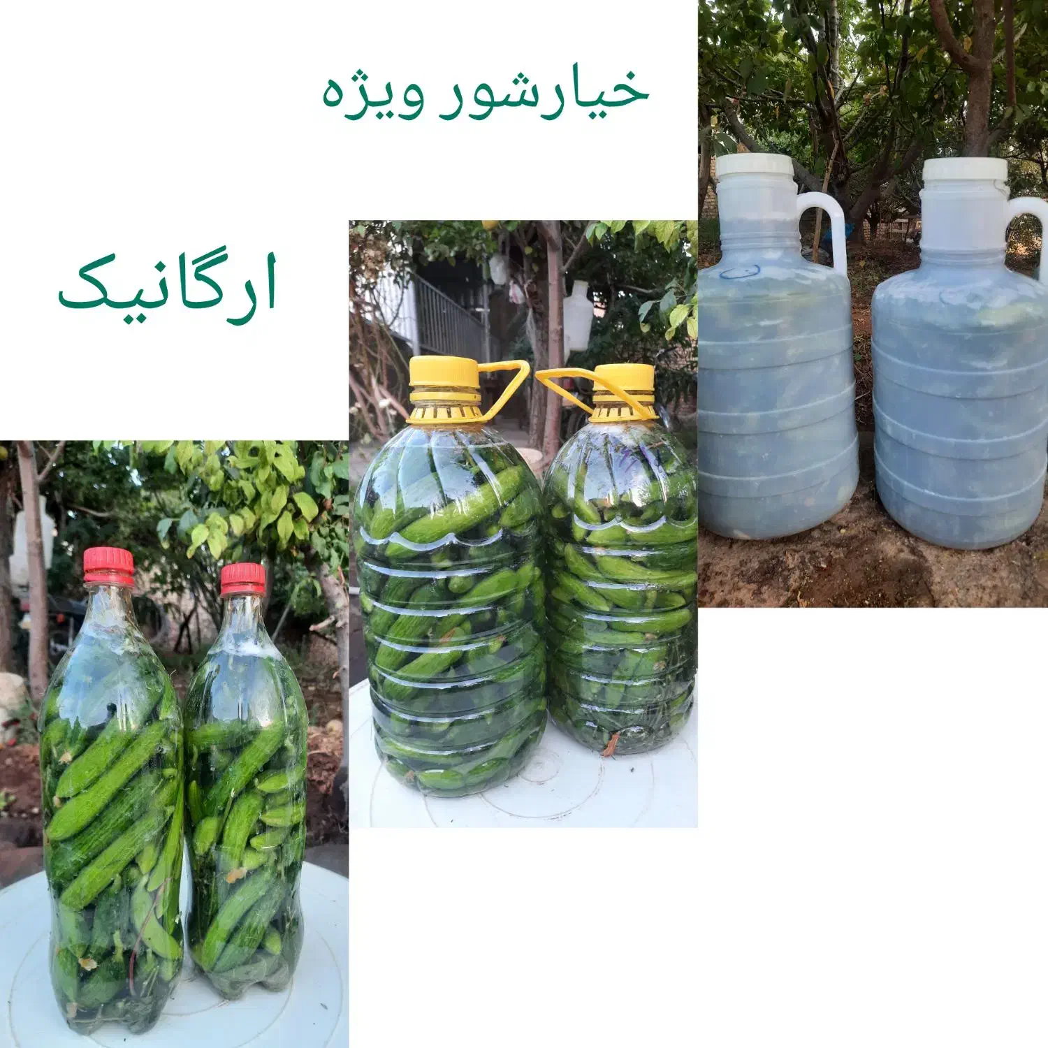 خیارشور|عمده‌فروشی|تربت‌حیدریه, اندیشه|دیوار