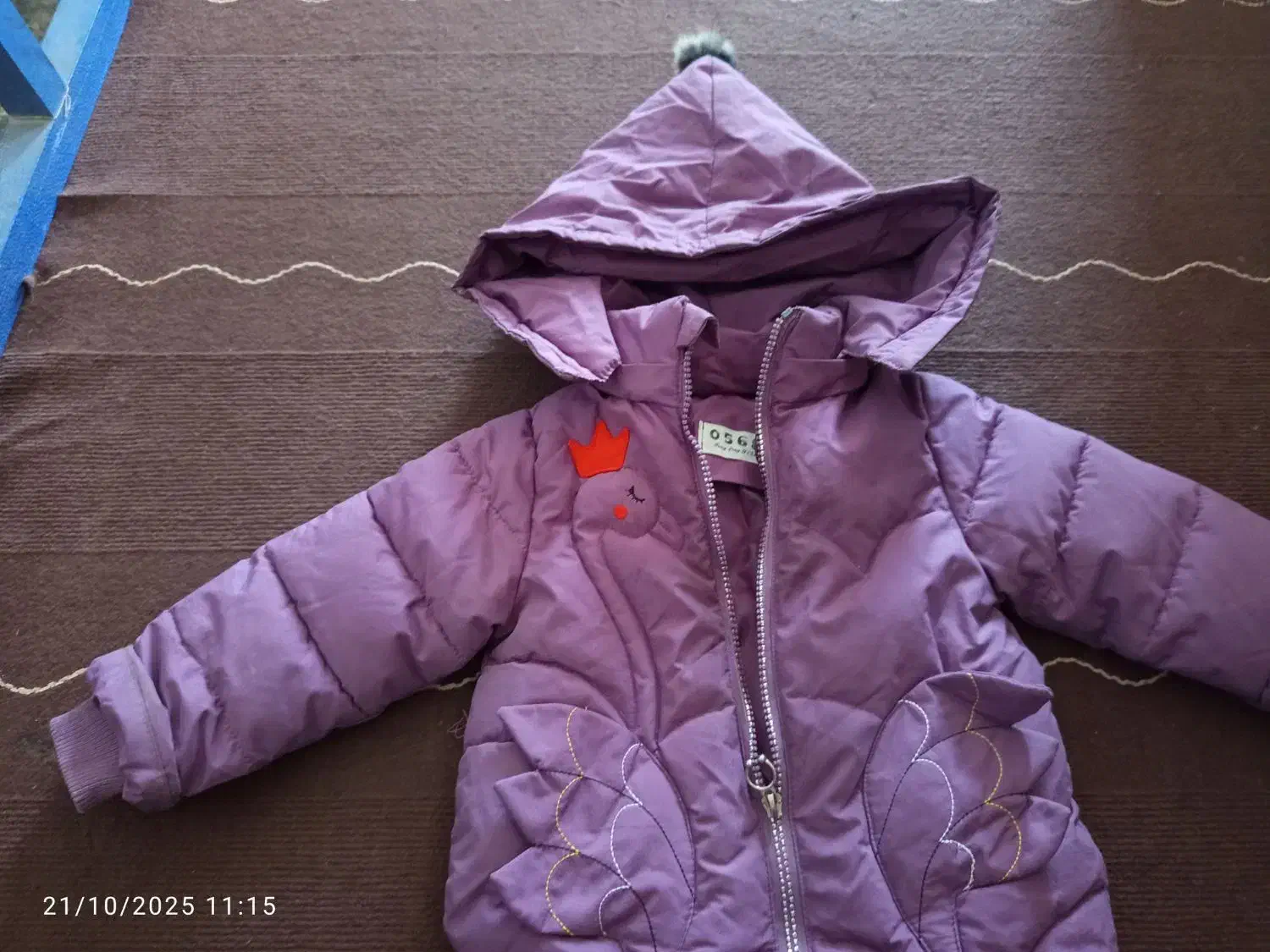 لباس گرم و کفش|لباس|فیروزآباد (فارس), |دیوار