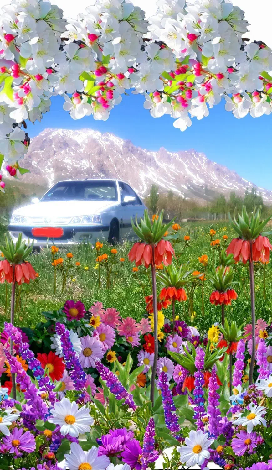 فروش خودروی پارس دوگانه دستی|خودرو سواری و وانت|فریدونشهر, |دیوار