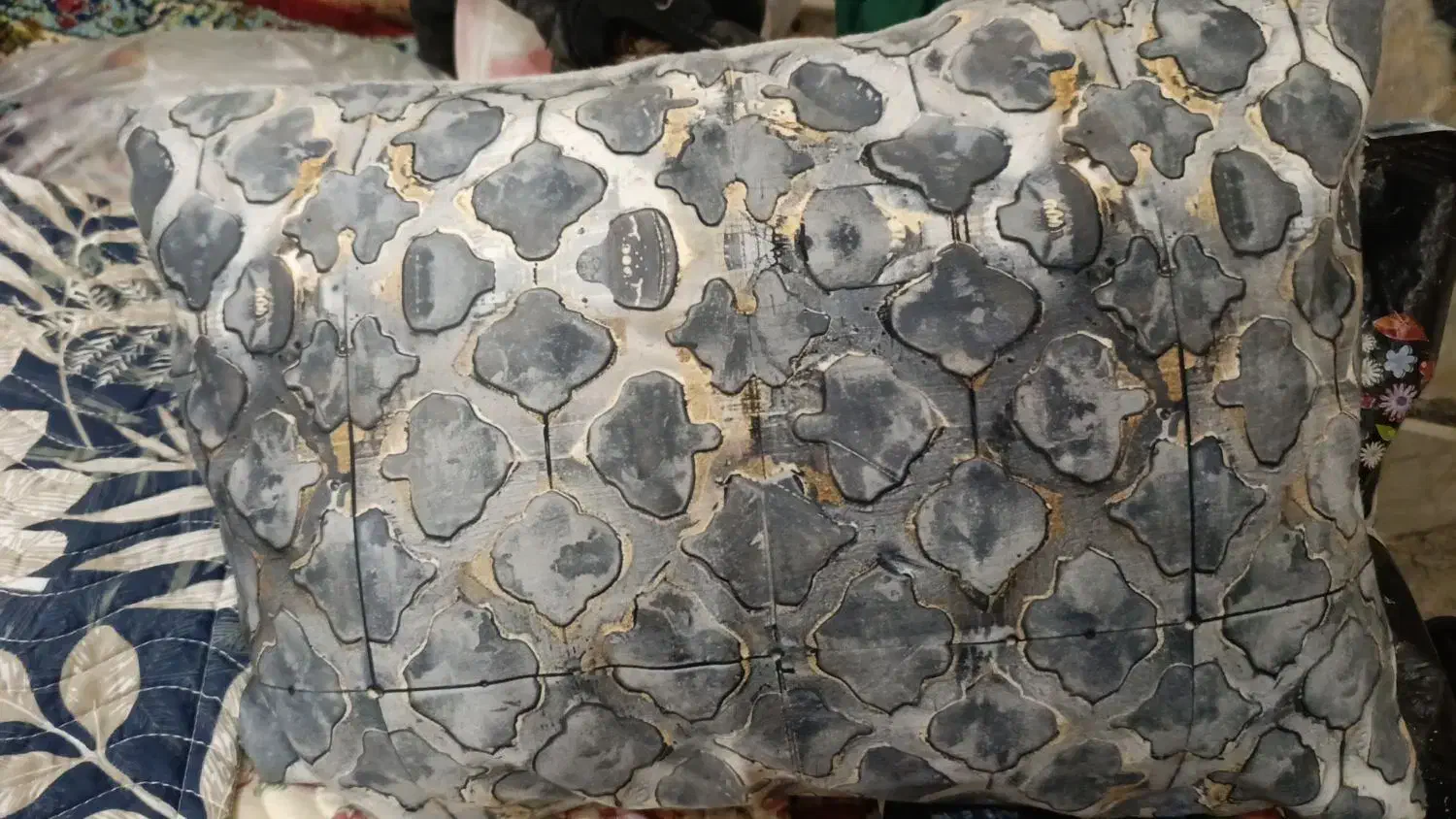 رو بالشتی طرح زیپ دار و بدون زیپ|رختخواب، بالش، پتو|زاهدان, |دیوار