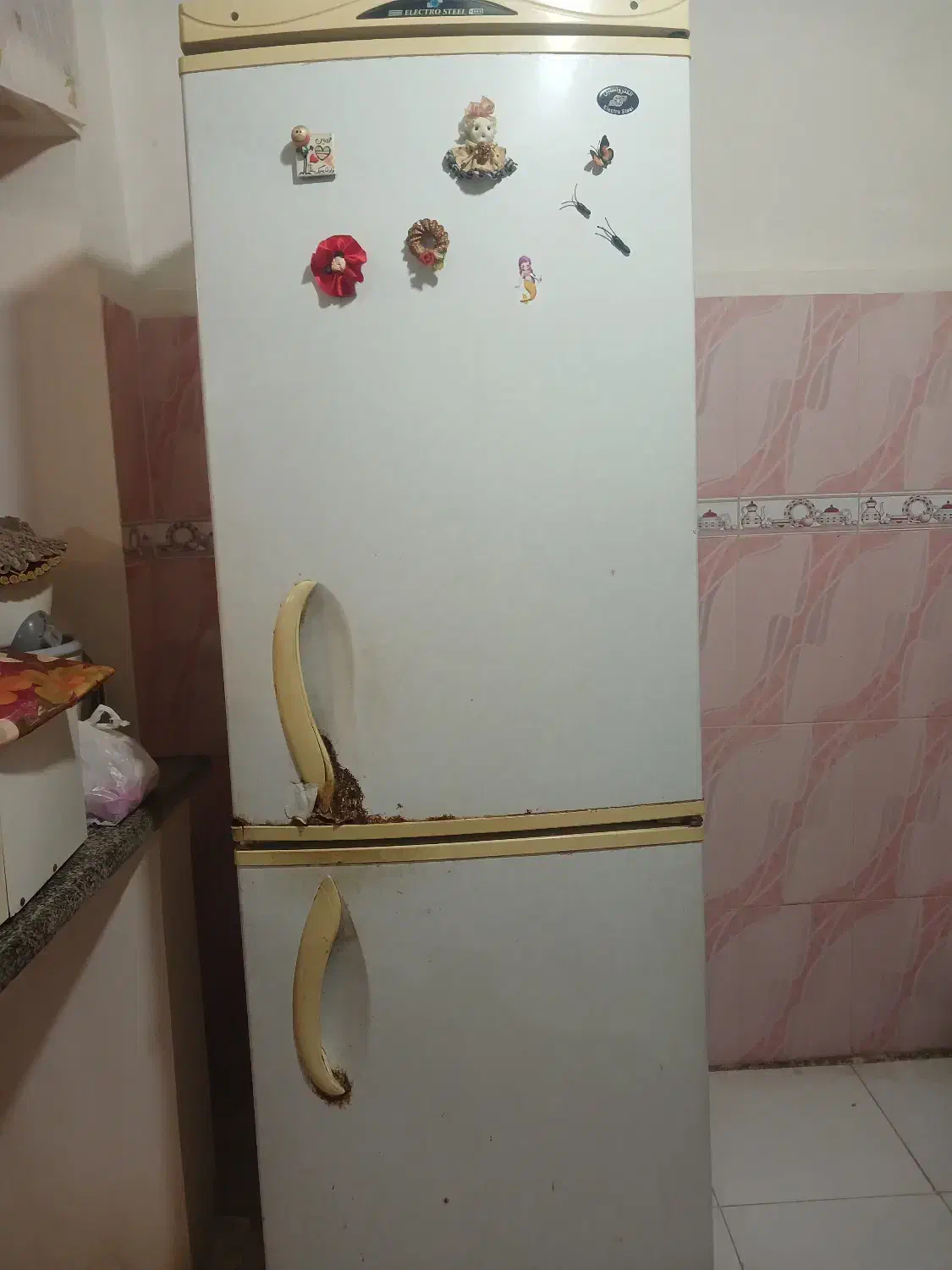 یخچال مارک الکترواستیل|یخچال و فریزر|رشت, جانبازان|دیوار