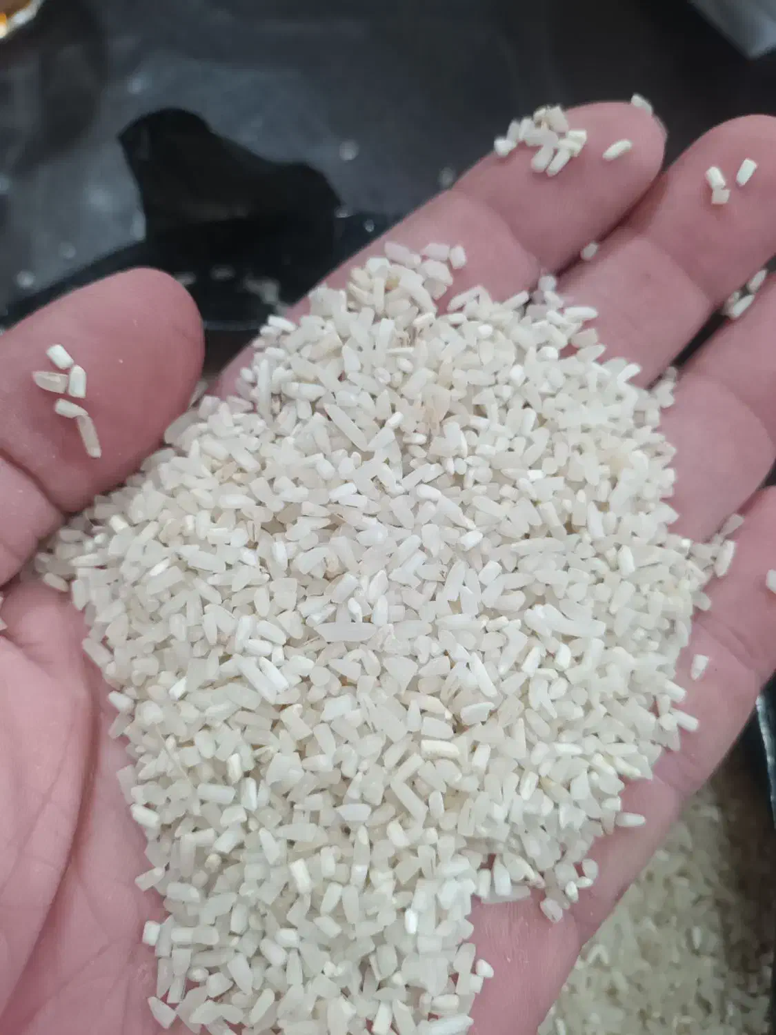 لاشه هاشمی دودی|عمدهفروشی|تهران, شهرک فردوس (حسینی)|دیوار