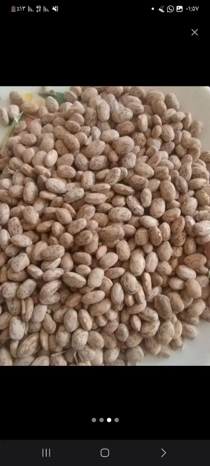 لوبیا قرمز، چیتی، چشم بلبلی کیلویی 105|خوردنی و آشامیدنی|کوهدشت, |دیوار