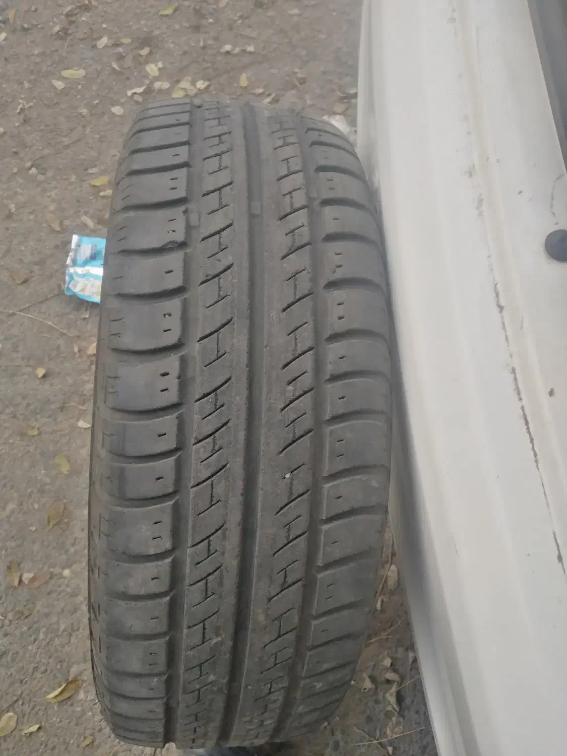 لاستیک ساینا|قطعات یدکی و لوازم جانبی|مشهد, خاتم الانبیا|دیوار