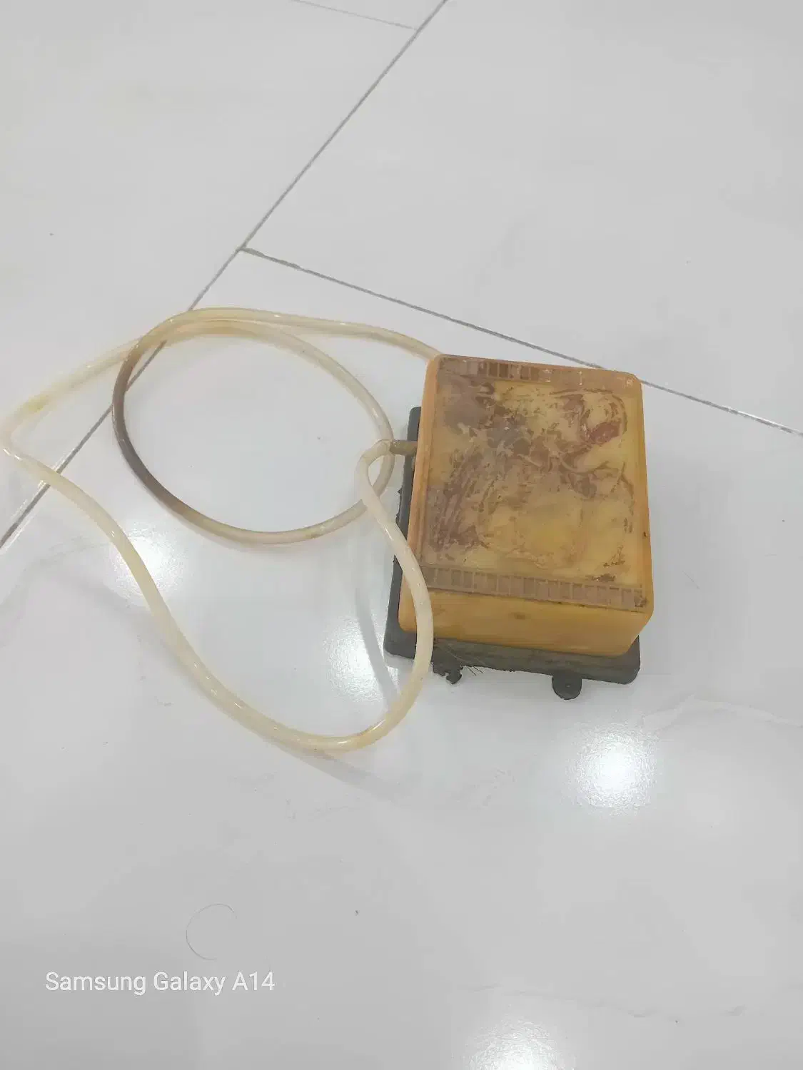 پمپ آب آکفاریوم قوی|ماهی|هشتگرد, شهرک گلخانه|دیوار