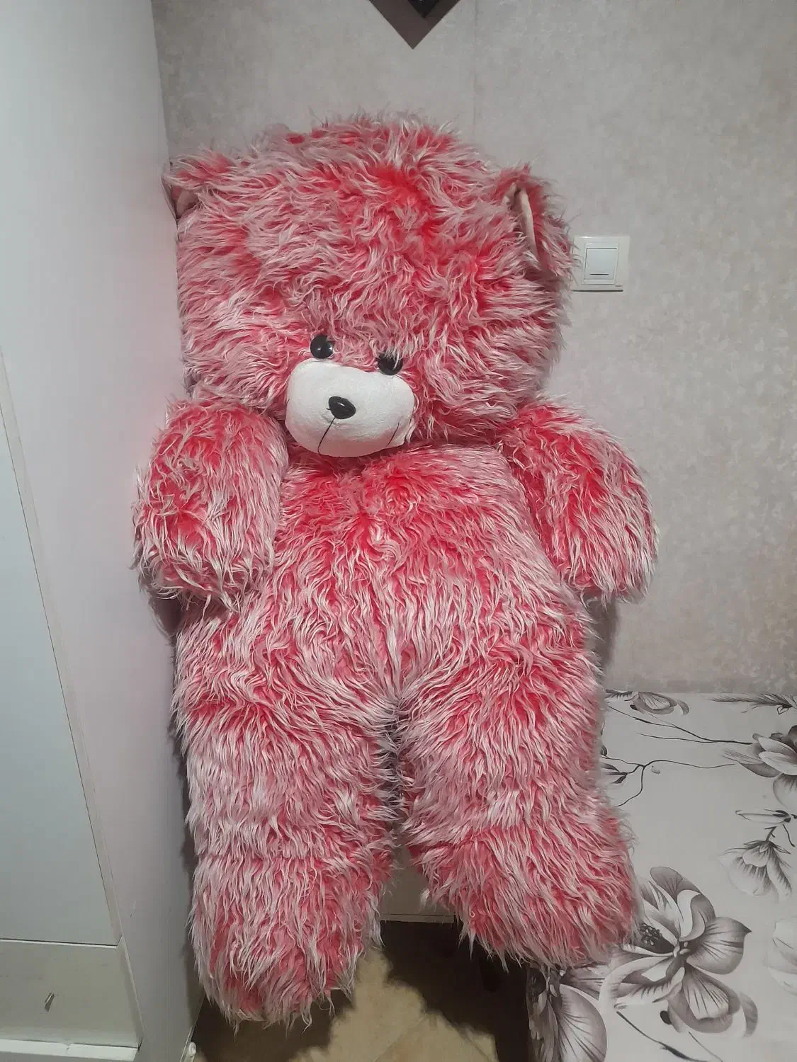 شاسخین|اسباب‌بازی بچه|قم, وادی السلام|دیوار