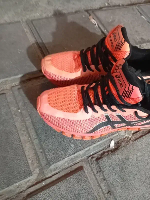 کفش اورجینال آسکیس|کیف، کفش، کمربند|رشت, بازار|دیوار