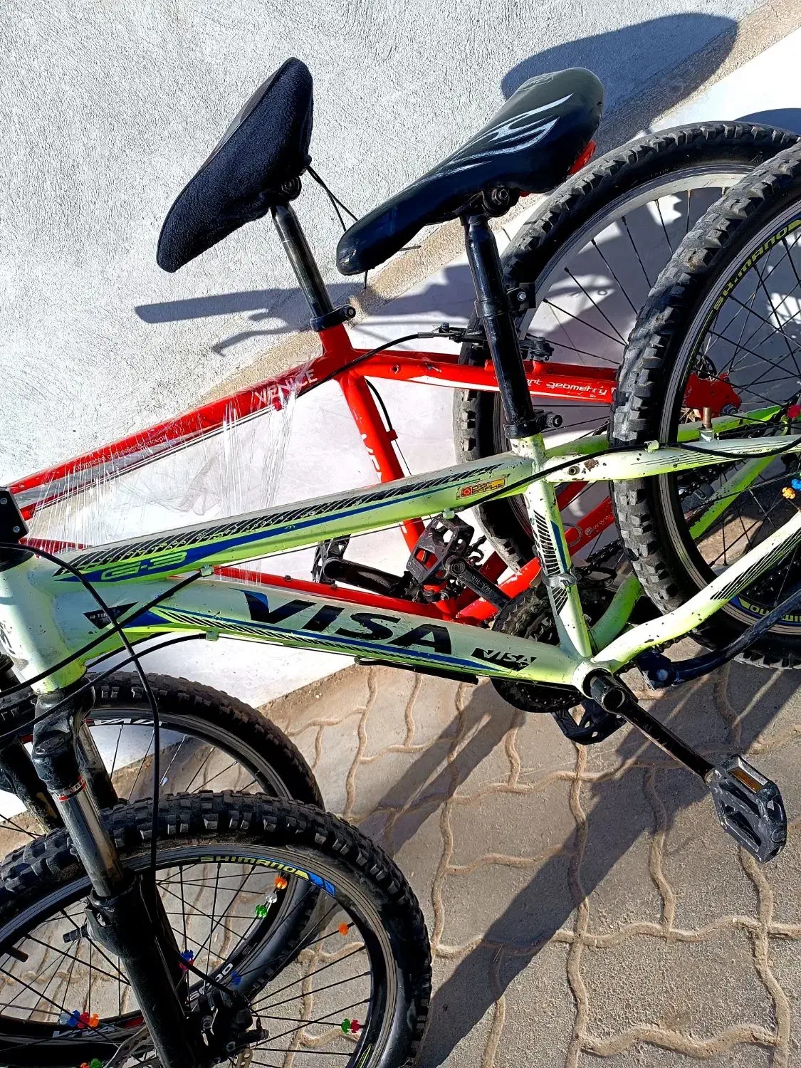 دو عدد دوچرخه ویوا و ویسا حرفه ای سایز ۲۴ و ۲۶|دوچرخه، اسکیت، اسکوتر|تربت جام, جامی|دیوار