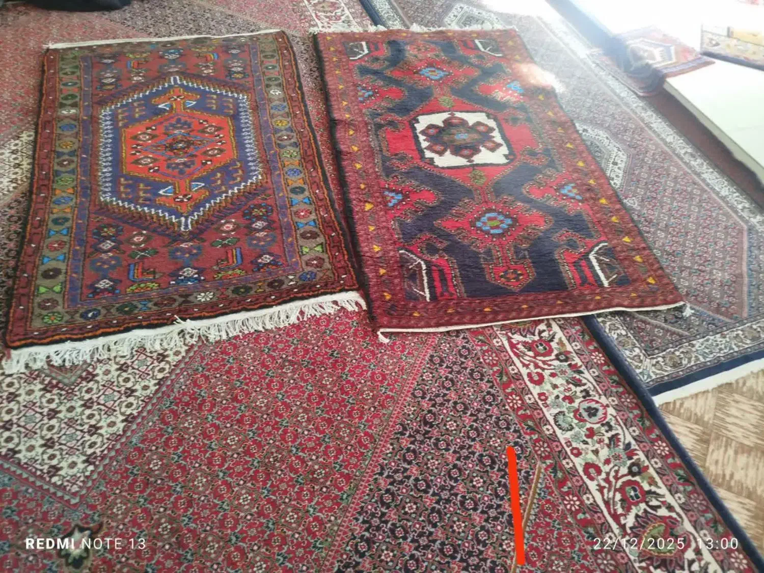 فرش دستبافت|فرش|زنجان, |دیوار