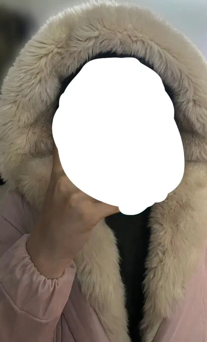 کاپشن گرم داخل تدی نو نو|لباس|تهران, شهرک صادقیه|دیوار