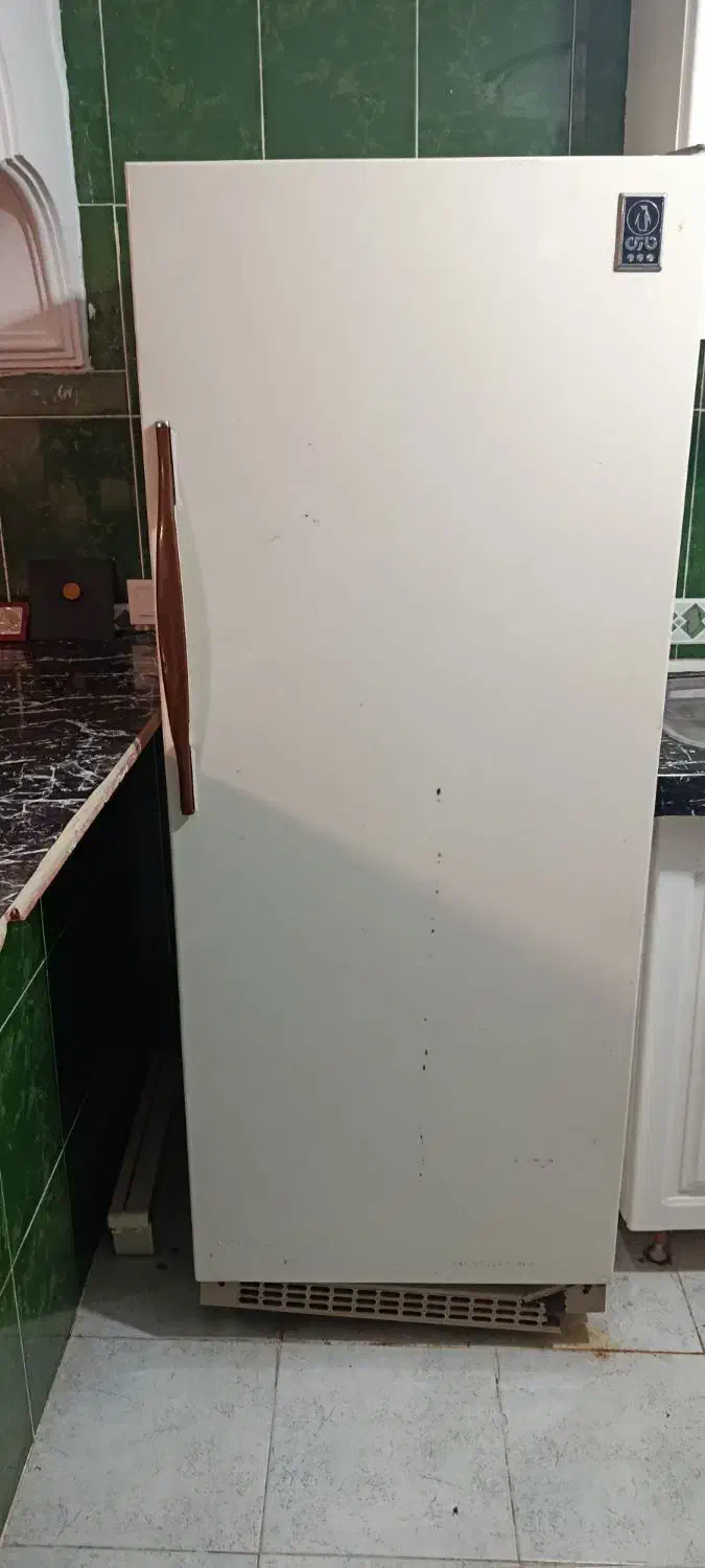 یخچال|یخچال و فریزر|عباس‌آباد, |دیوار