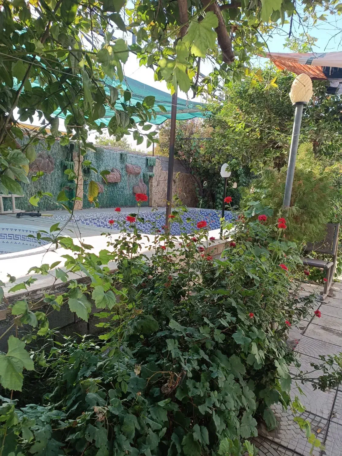 نیازمند هم خانه|اجارهٔ آپارتمان|بهبهان, |دیوار