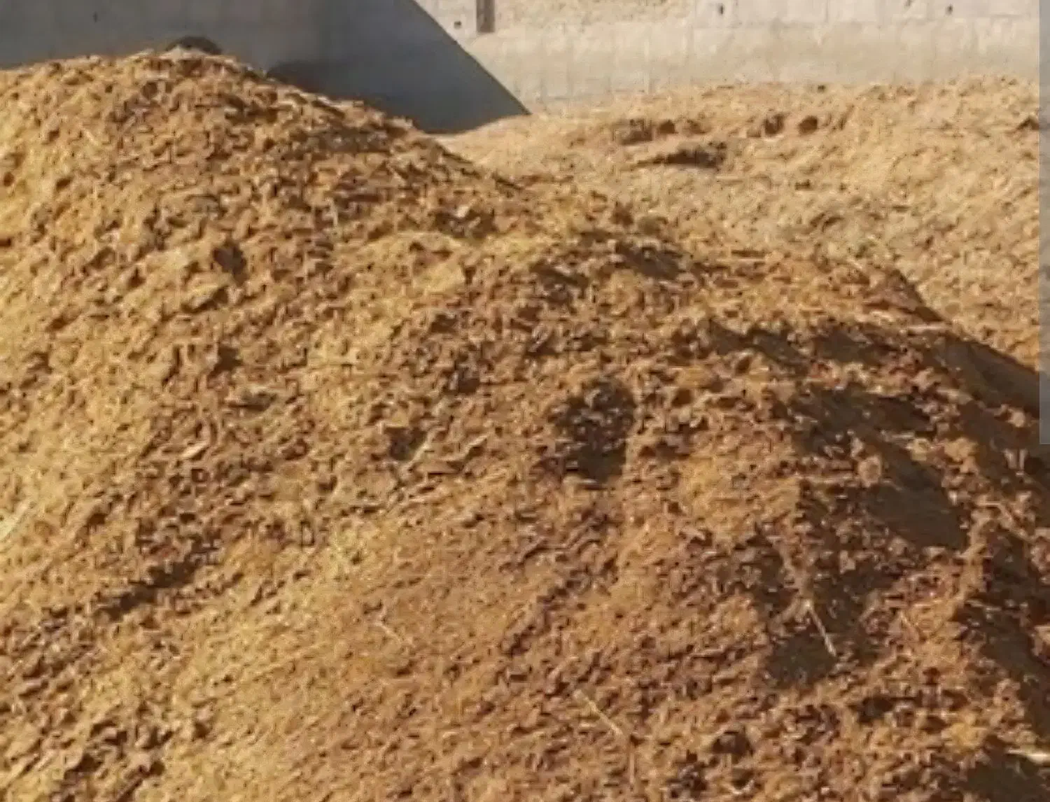 کود حیوانی ،گاوی ،گوسفندی خشک،کودچندساله.۲۰۰تن|گل و گیاه طبیعی|انبارآلوم, |دیوار