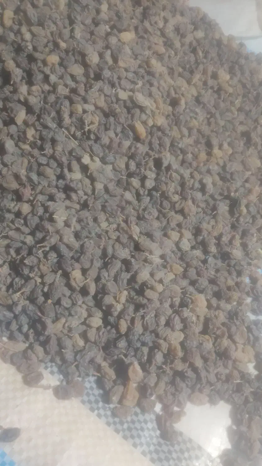 کشمش آفتابی|خوردنی و آشامیدنی|قره چای, |دیوار