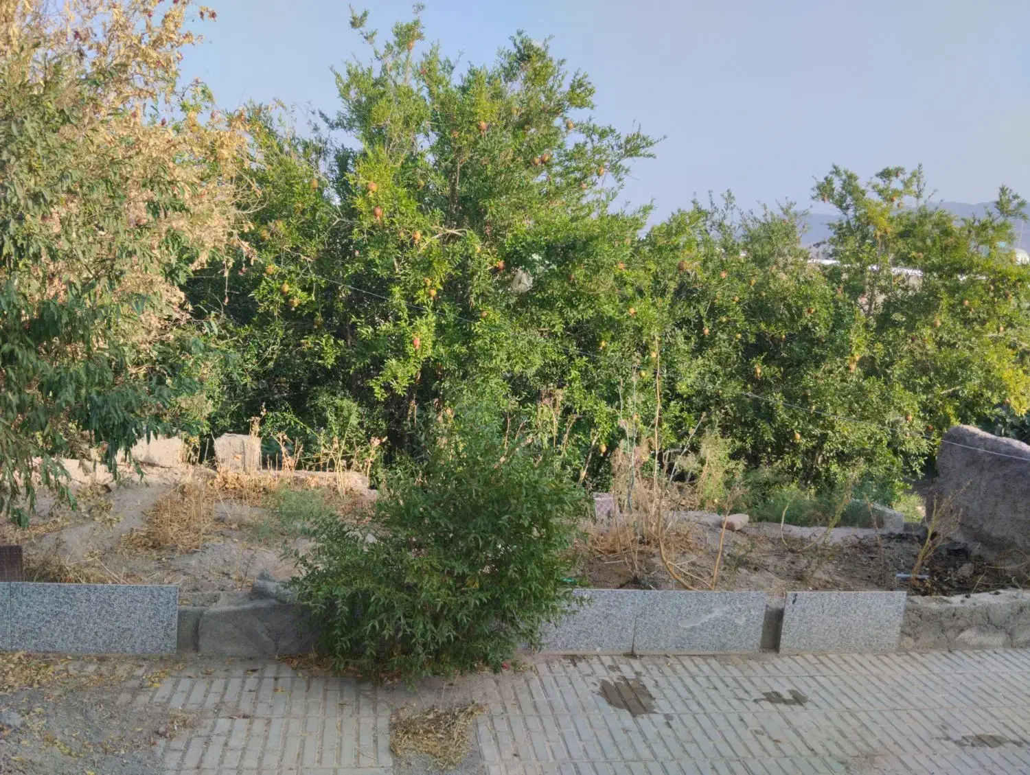 خونه گلباف|فروش خانه و ویلا|گلباف, |دیوار