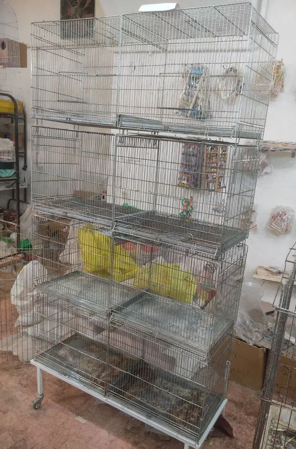 قفس جوجه پران هشت خان|لوازم جانبی حیوانات|رامسر, |دیوار