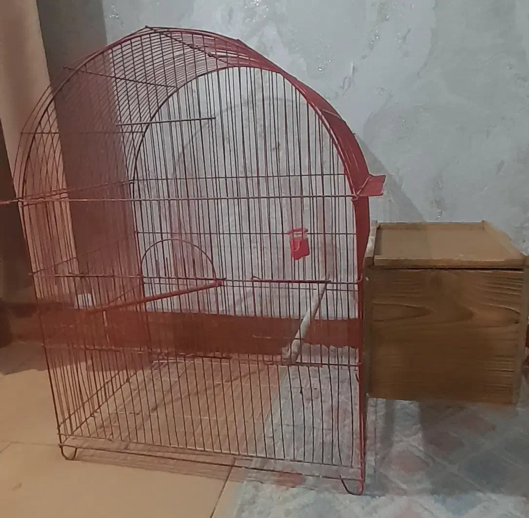 قفس پرنده|لوازم جانبی حیوانات|قدس, شهر‌قدس|دیوار