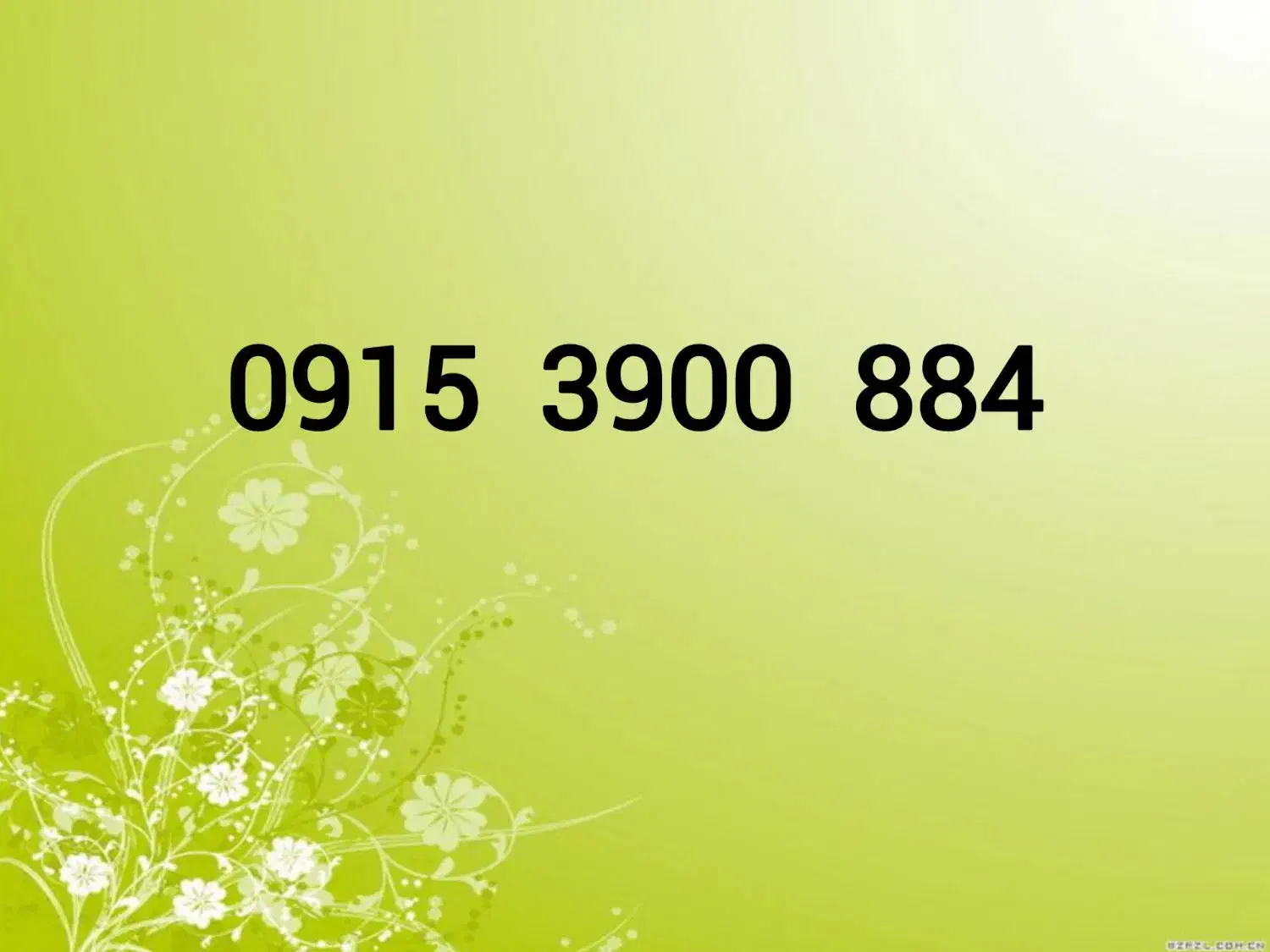 0915-3900-884|سیم‌کارت|مشهد, دانشجو|دیوار