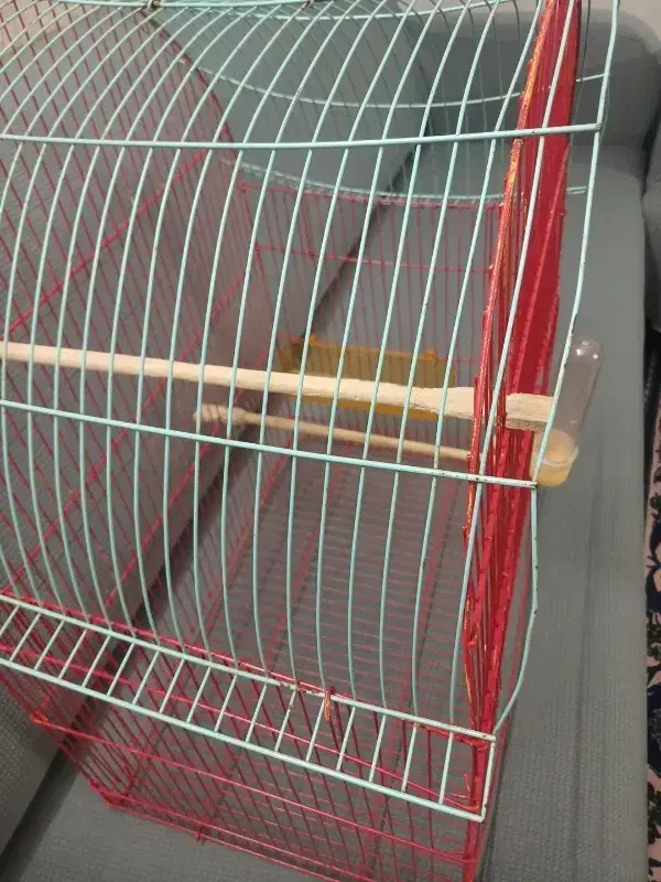 قفس|لوازم جانبی حیوانات|بابل, |دیوار