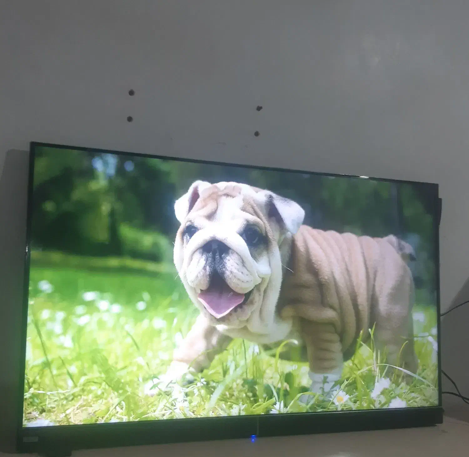 ۵۰اینچ هوشمند جی پلاس|تلویزیون و پروژکتور|کوهدشت, |دیوار