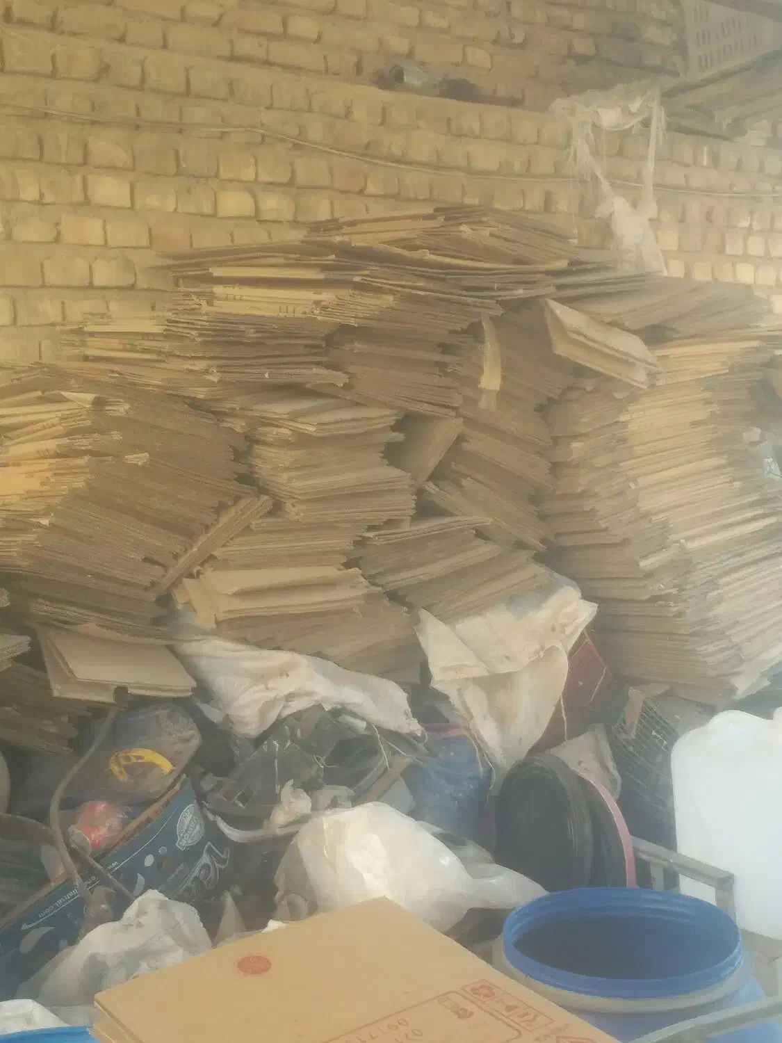 کارتن تخم مرغی|عمدهفروشی|جهرم, |دیوار