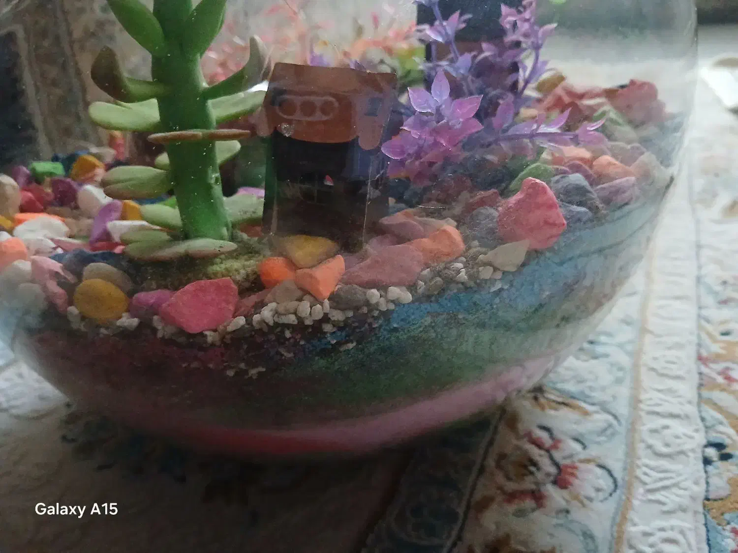 آکواریوم بزرگ|گل و گیاه طبیعی|مریوان, |دیوار