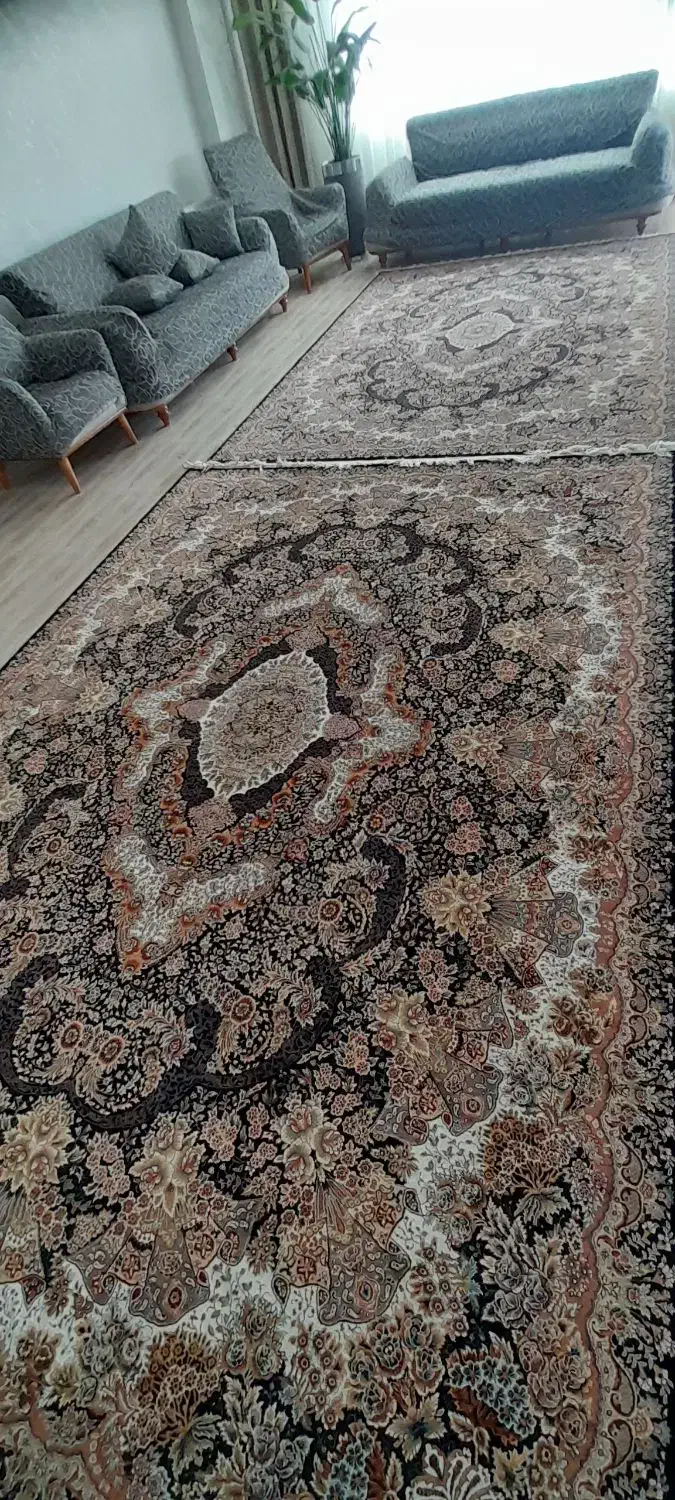 فرش ۷۰۰شانه|فرش|قروه, |دیوار