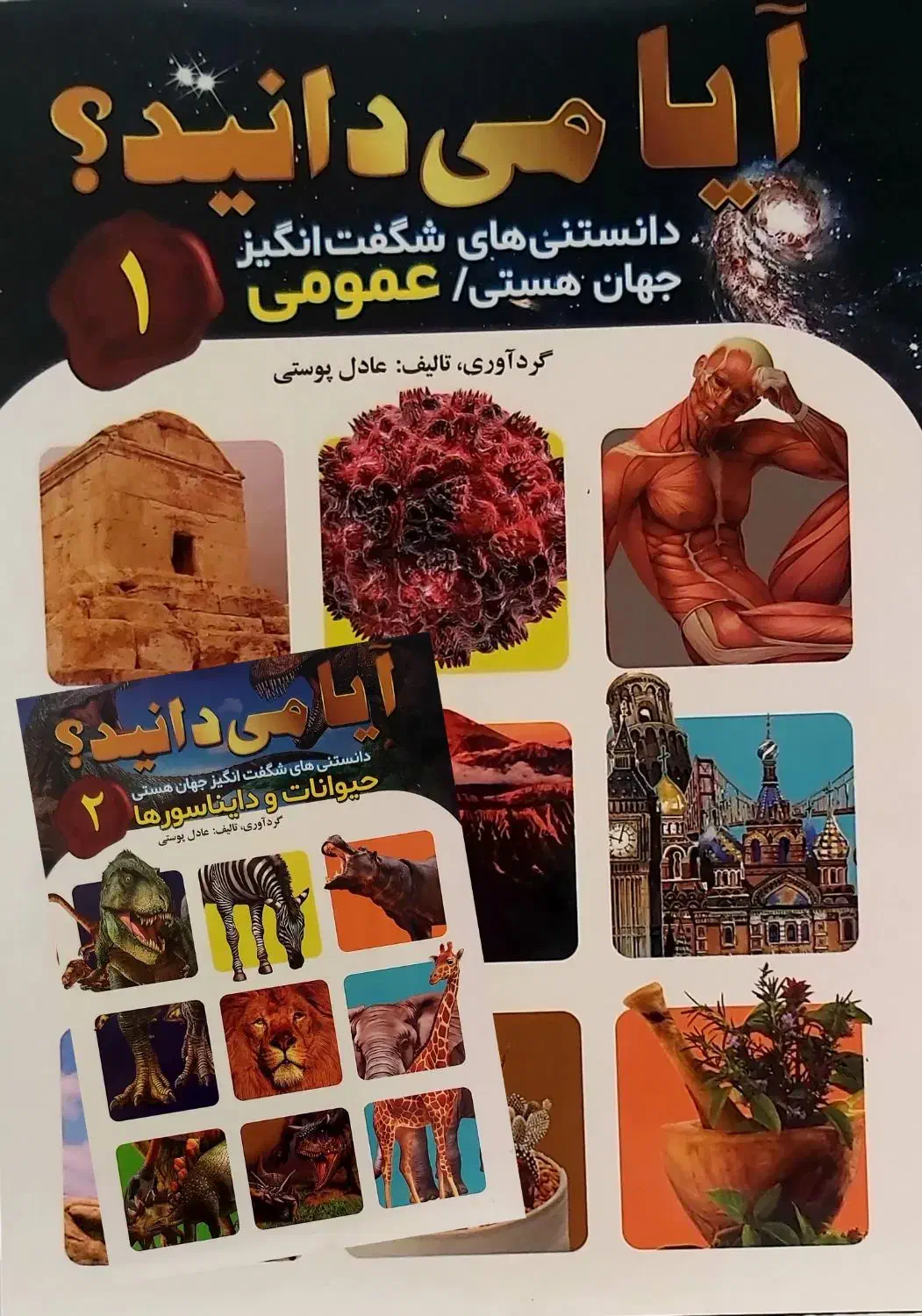 رنگ آمیزی بزرگسالان|کتاب و مجله آموزشی|قم, صفائیه|دیوار