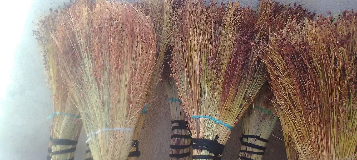 جارو وفرش|لوازم نظافت|ایوان, |دیوار