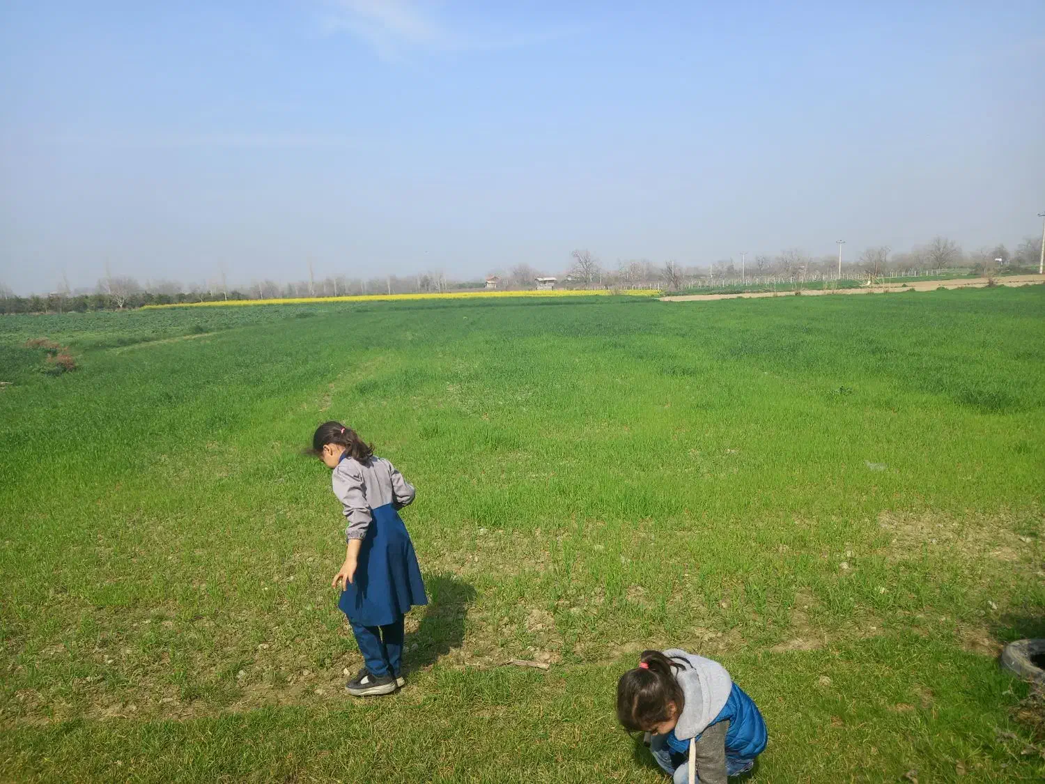 فروش زمین کشاورزی|فروش دفتر صنعتی، کشاورزی، تجاری|نوکنده, |دیوار