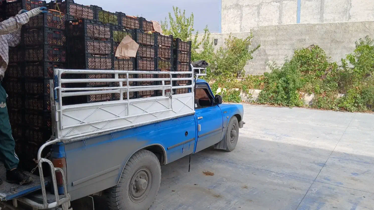 سایپا باری حمل بار منزل سیب به تمام نقاط کشور|خدمات حمل و نقل|یاسوج, |دیوار