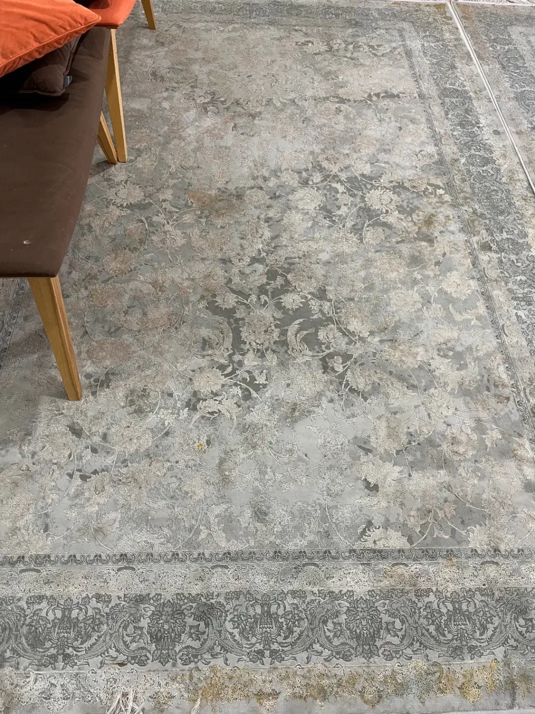 فرش ابریشم ۶ متری|فرش|سیرجان, |دیوار