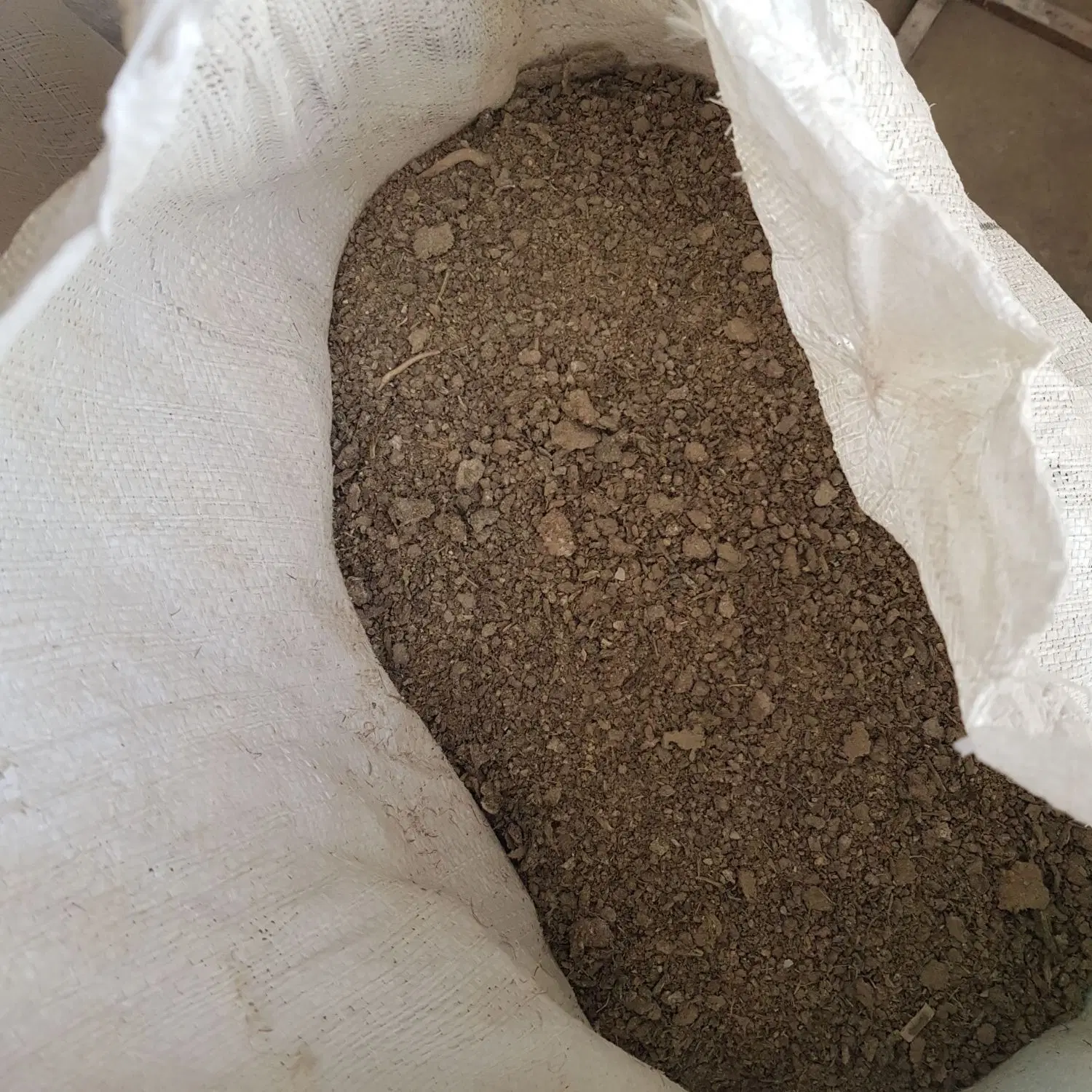 کودمرغ|گل و گیاه طبیعی|رفسنجان, |دیوار