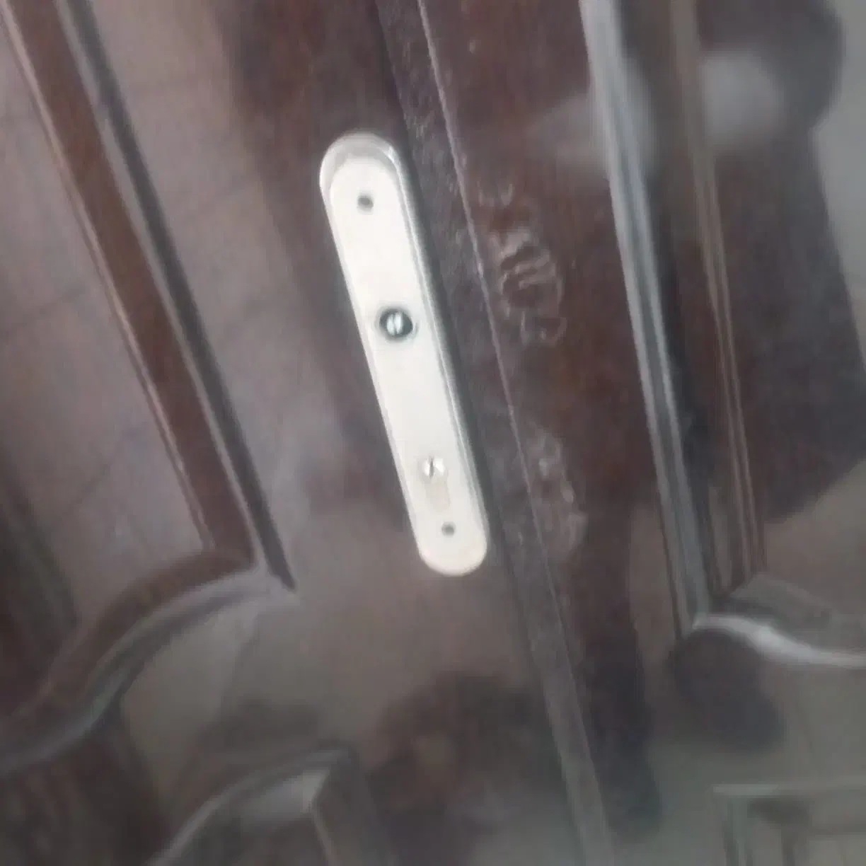 در سالن و دزدگیر فرفوژه|مصالح و تجهیزات ساختمان|جهرم, |دیوار