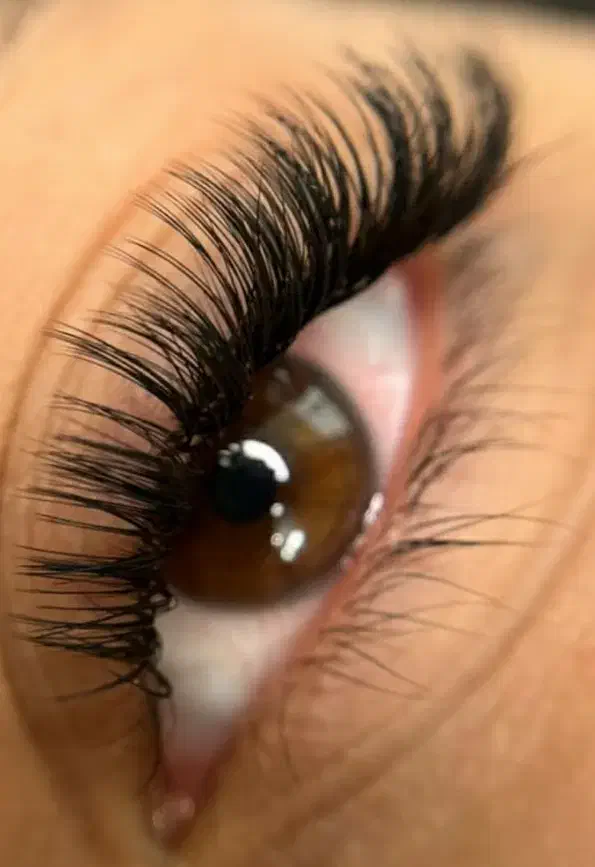 اکستنشن و لیفت مژه و ابرو|خدمات آرایشگری و زیبایی|سبزوار, امیر کبیر|دیوار