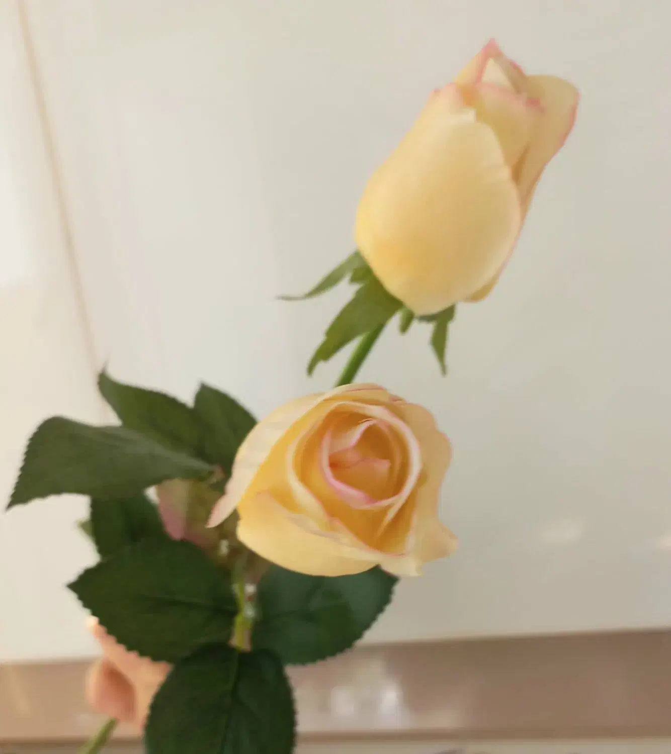 گل رز|گل مصنوعی|تهران, جنت‌آباد جنوبی|دیوار