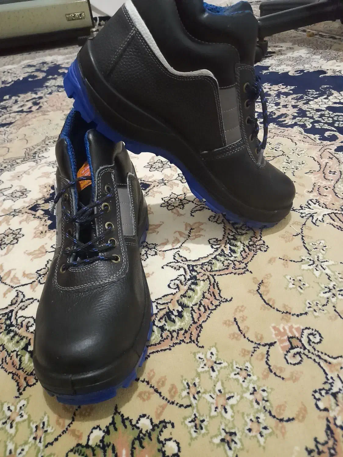 کفش نو|کیف، کفش، کمربند|اردبیل, |دیوار