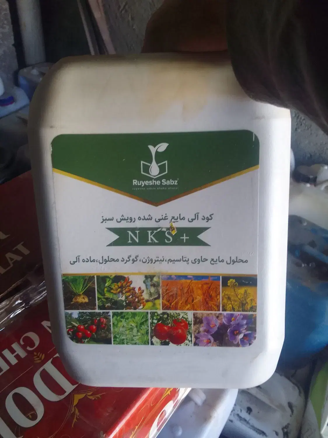 کود|گل و گیاه طبیعی|سیسخت, |دیوار